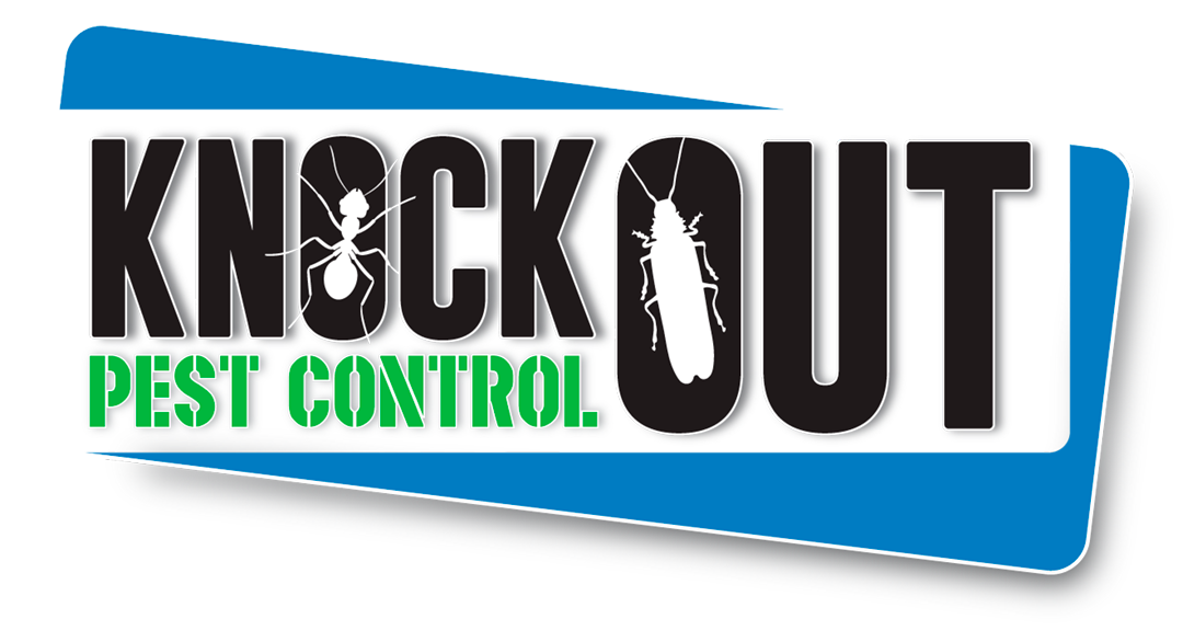 Logo_Large_Transparent_Background
